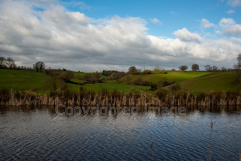 canal20210208016 
 Grand western Canal, Tiverton, Devon 
 Keywords: Grand Western Canal, Devon, Tiverton, Halberton, Sampford Peverell, Canal walk, Rolling hills, Countryside. Greenery, green hills