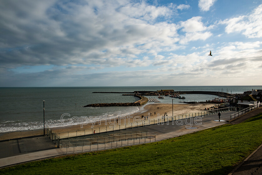 lyme-044 
 Lyme Regis and Uplyme riverside walk 
 Keywords: Lyme Regis, Uplyme, coastal town, Devon, Dorset, boarder, riverwalk, seaside, sea view, gardens, beach, the Cobb, landmark, sea, calm sea, blue skies, clouds, harbour, harbourside., boats.seagul