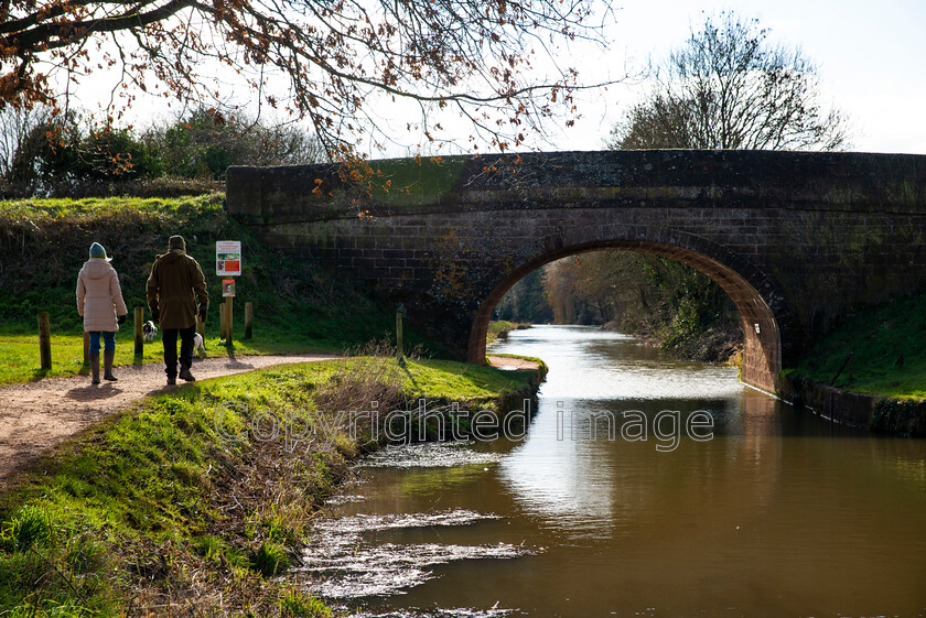 canal20210208010 
 Grand western Canal, Tiverton, Devon 
 Keywords: Grand Western Canal, Devon, Tiverton, Halberton, Sampford Peverell, Canal walk, Rolling hills, Countryside. Greenery, green hills