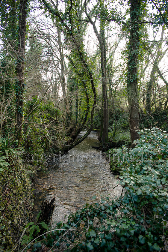 lyme-009 
 Lyme Regis and Uplyme riverside walk 
 Keywords: Lyme Regis, Uplyme, coastal town, Devon, Dorset, boarder, riverwalk, seaside, sea view, gardens, river, green, trees, flowing river